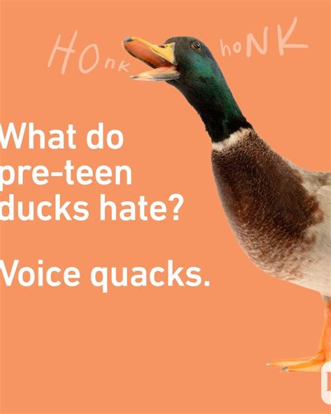 youjaks teen|Jokes: 1000s of Our Most Funny Jokes, Puns & Riddles.